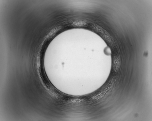 X0000103440734200810031412