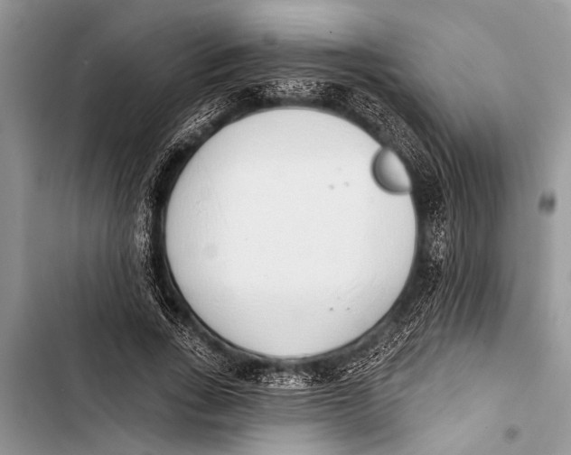X0000103440735200810031412
