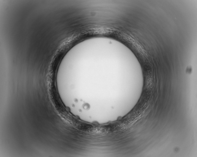 X0000103440736200810031412
