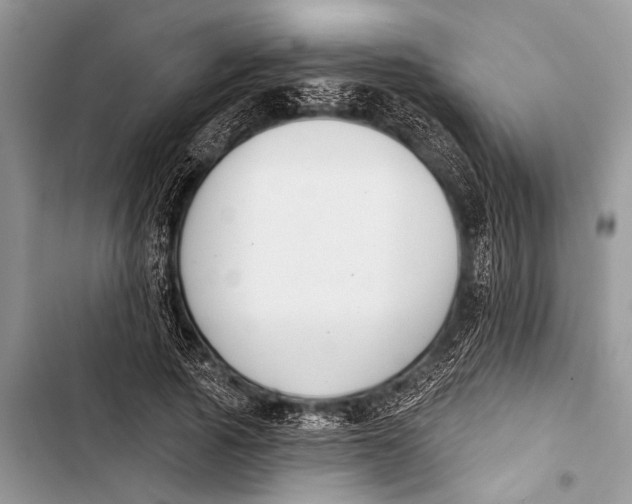 X0000103440737200810031412