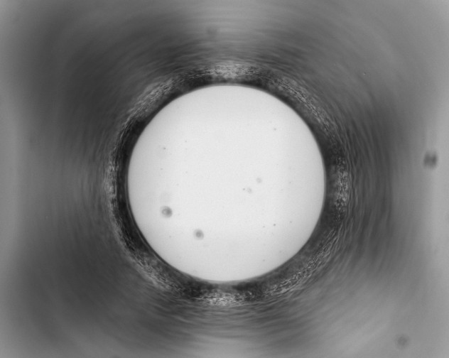 X0000103440738200810031412