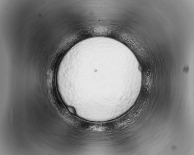 X0000103440742200810031412