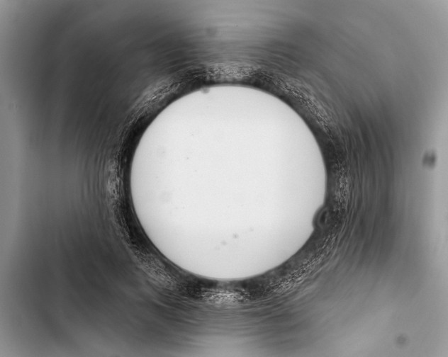 X0000103440743200810031412