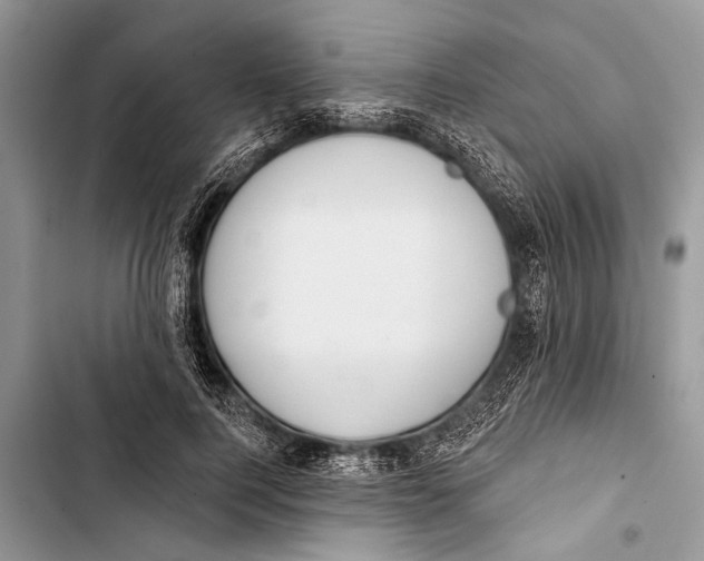 X0000103440744200810031412