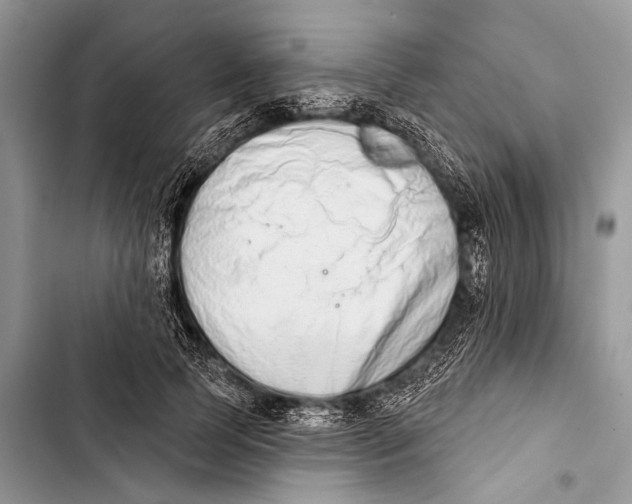 X0000103440745200810031412