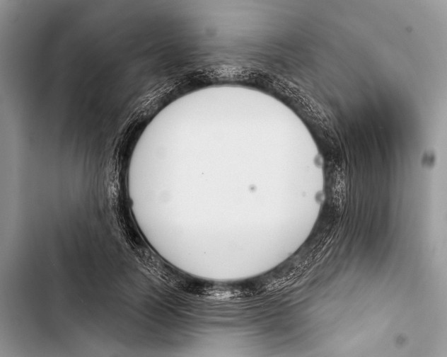 X0000103440746200810031412