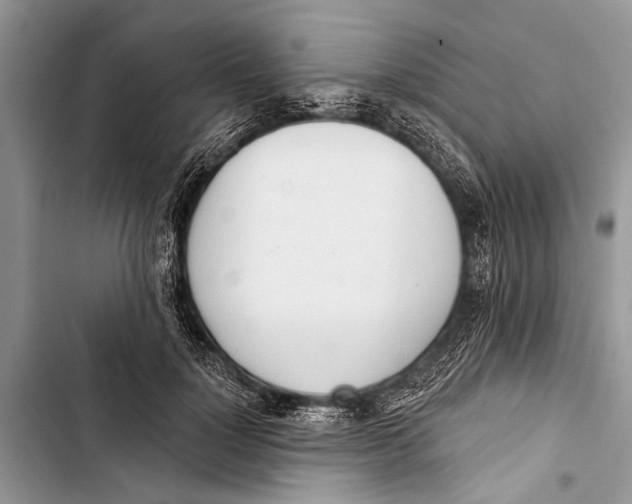 X0000103440748200810031412