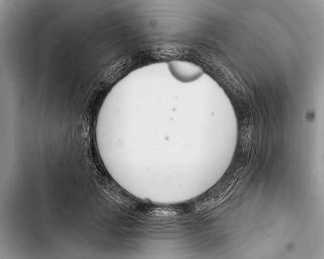 X0000103440749200810031412
