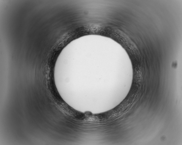 X0000103440750200810031412