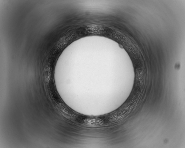 X0000103440752200810031413