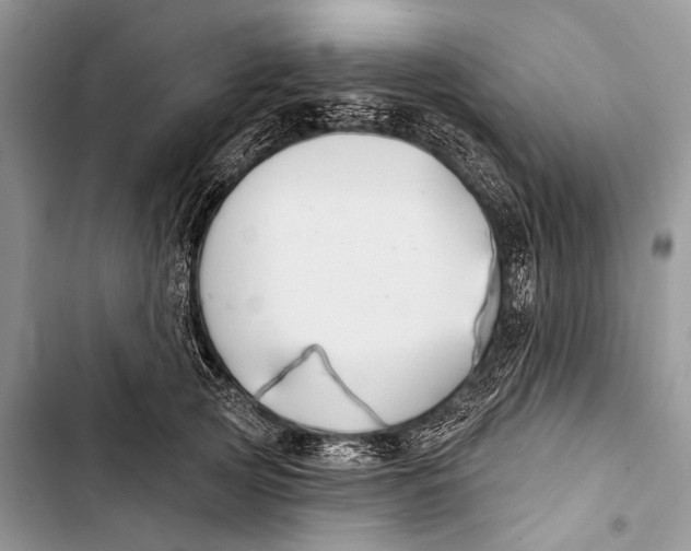 X0000103440753200810031413