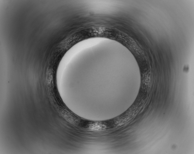 X0000103440754200810031413