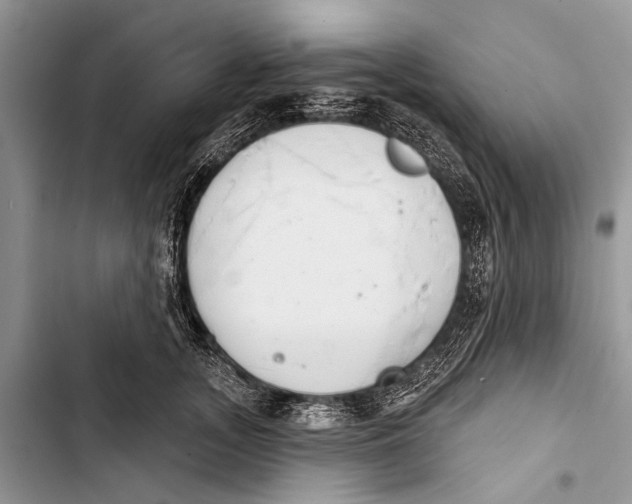 X0000103440755200810031413