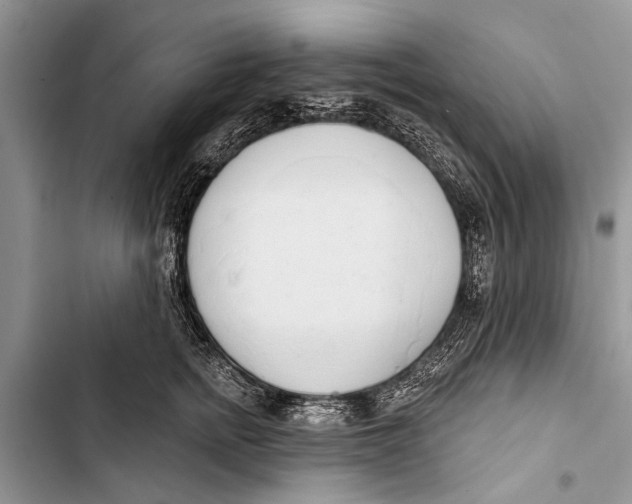 X0000103440758200810031413
