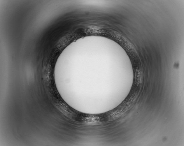 X0000103440760200810031413