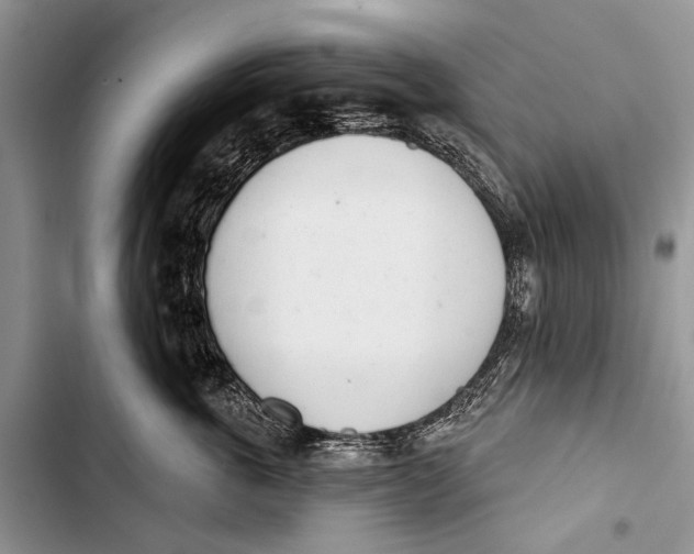 X0000103440763200810031413