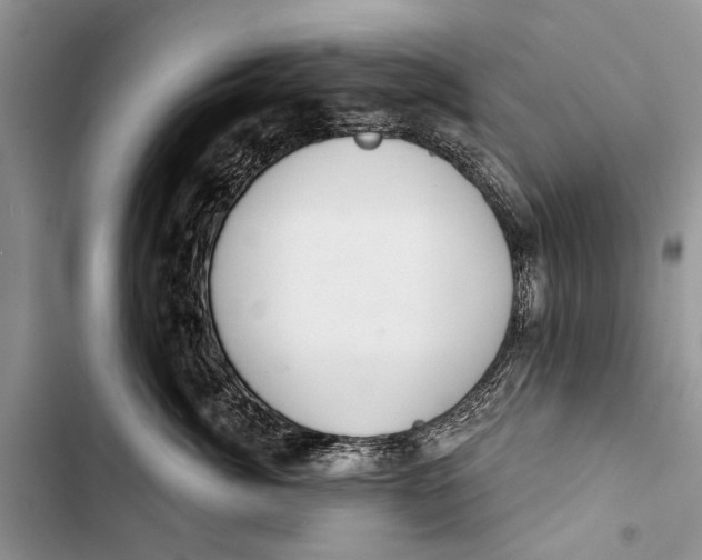 X0000103440764200810031413