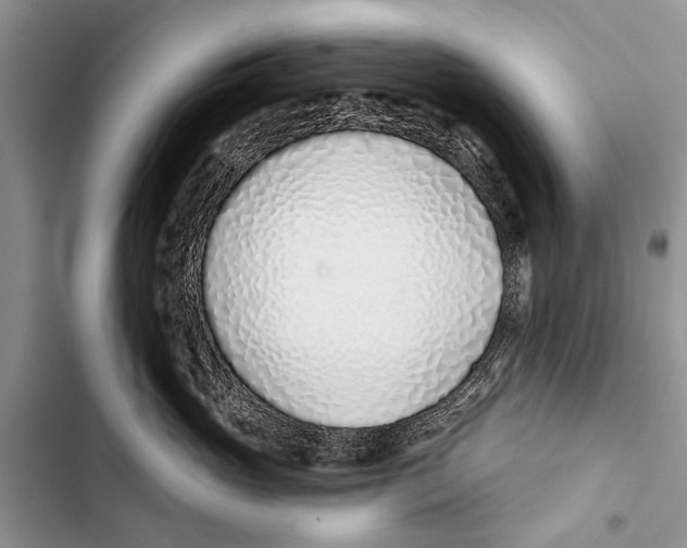X0000103440765200810031413