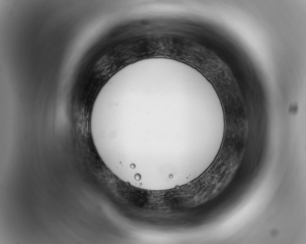 X0000103440766200810031413
