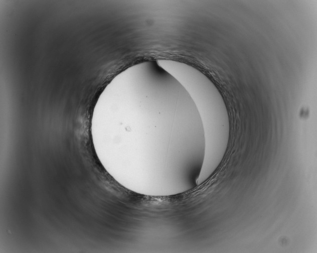 X0000103440768200810031413