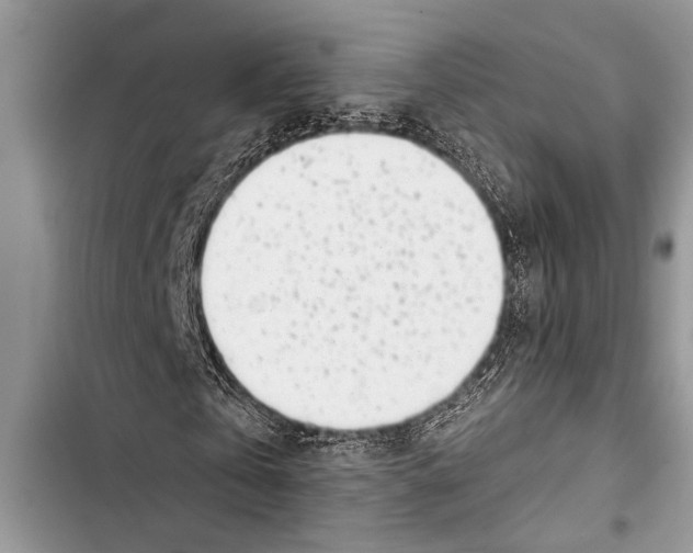 X0000103440769200810031412
