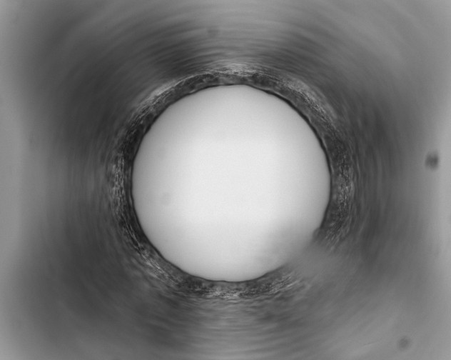 X0000103440773200810031412
