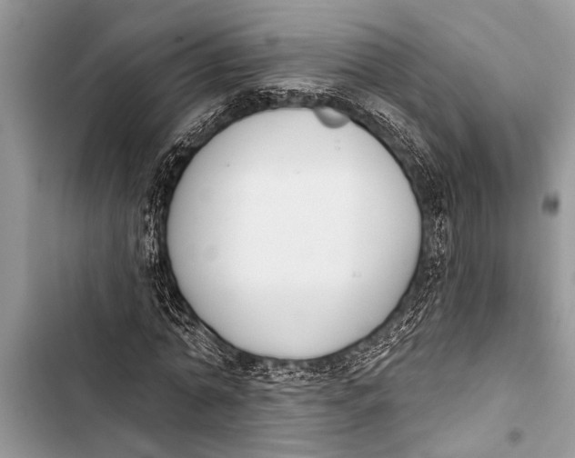 X0000103440774200810031412