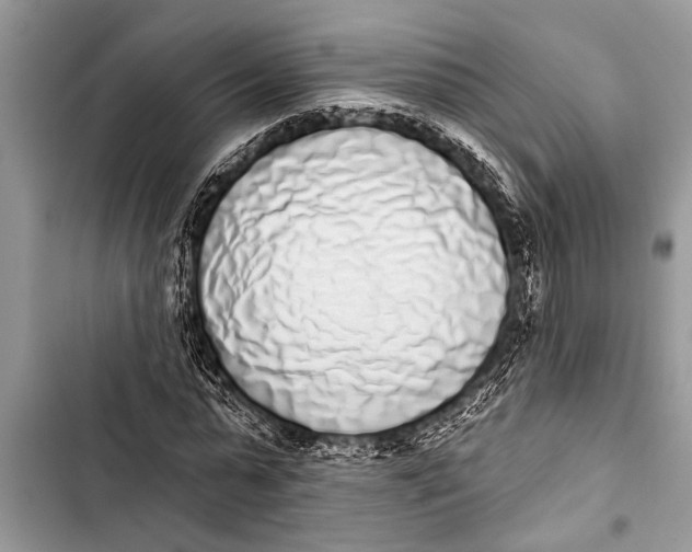 X0000103440775200810031412