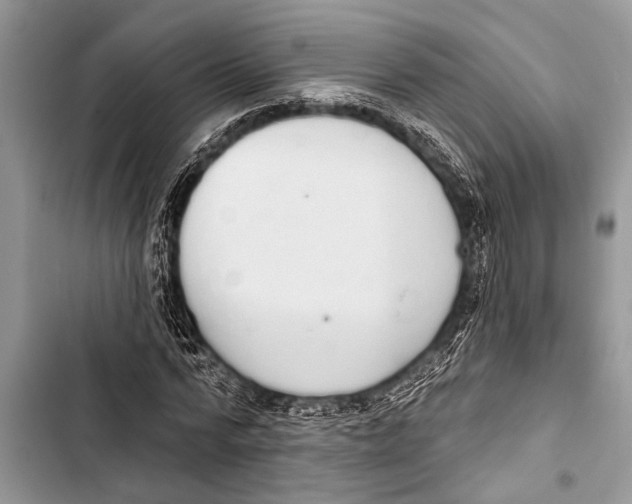X0000103440776200810031412