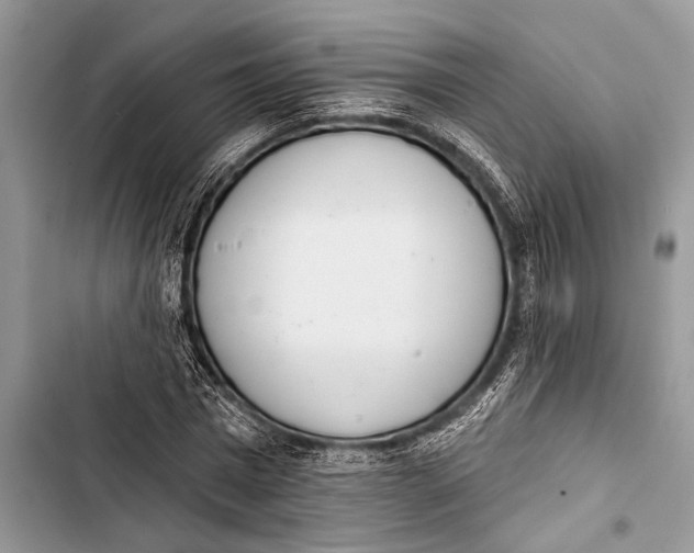 X0000103440777200810031412