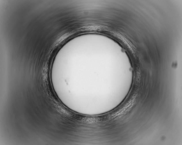 X0000103440778200810031412