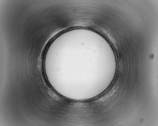 X0000103440779200810031412