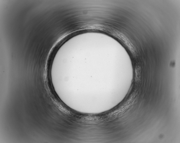 X0000103440780200810031412
