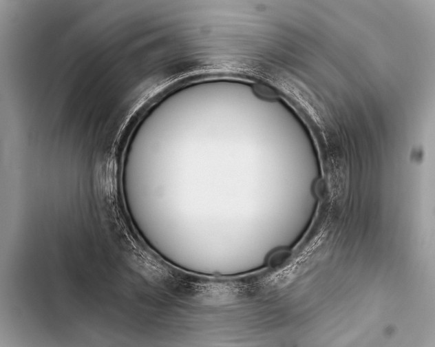 X0000103440781200810031412