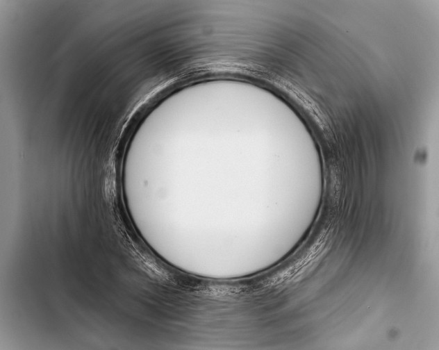 X0000103440782200810031412
