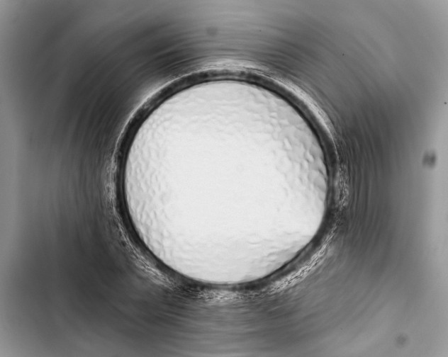 X0000103440783200810031412