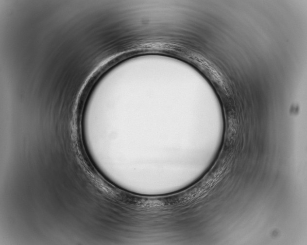X0000103440784200810031412