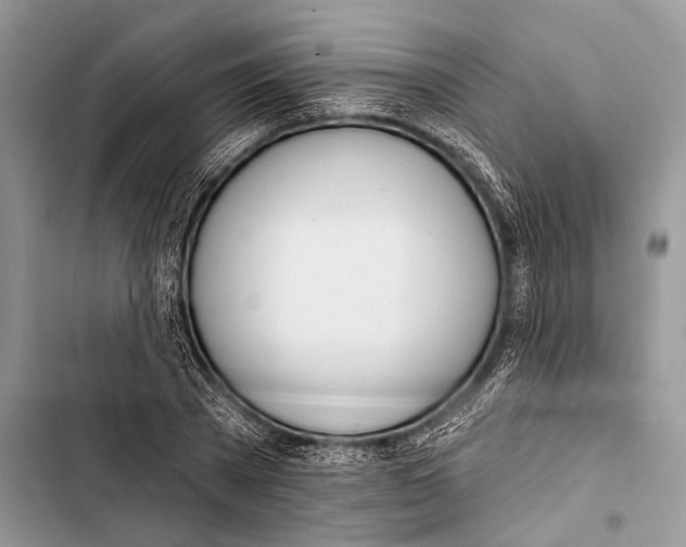 X0000103440785200810031412