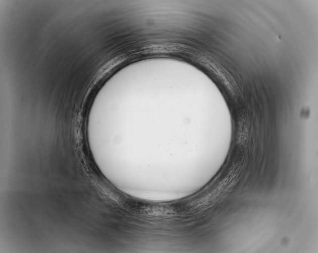 X0000103440786200810031412