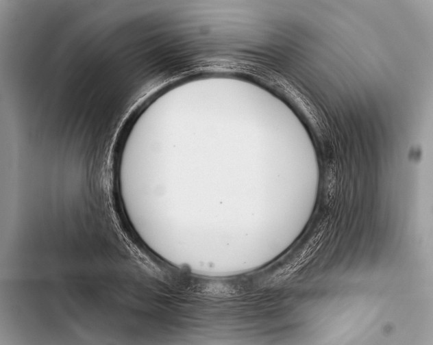 X0000103440787200810031412
