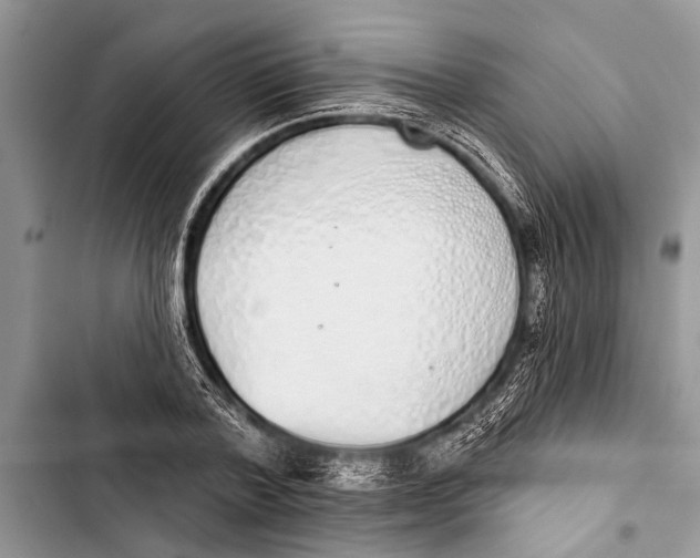 X0000103440788200810031412