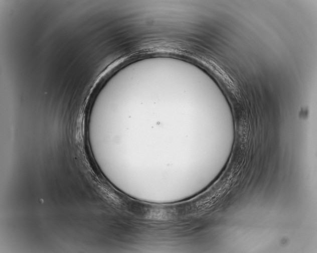 X0000103440790200810031412