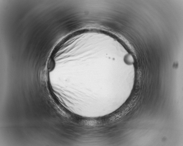 X0000103440791200810031412