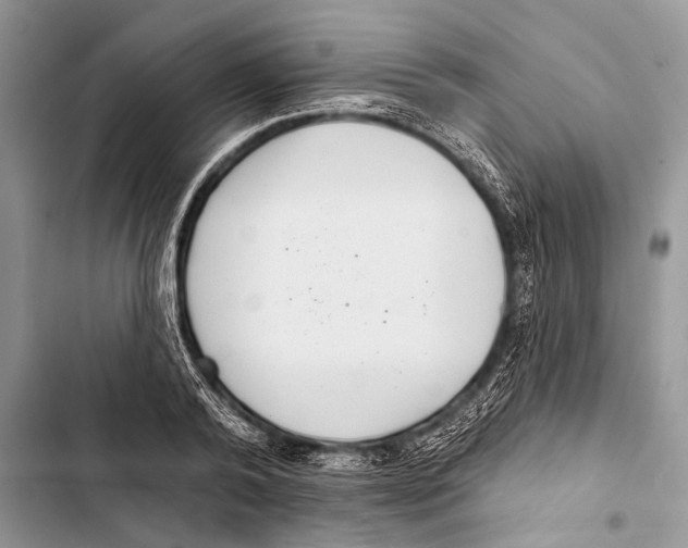 X0000103440792200810031412