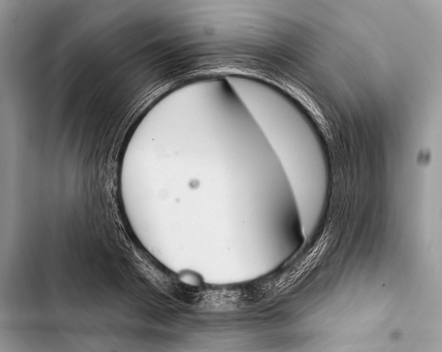 X0000103440793200810031412