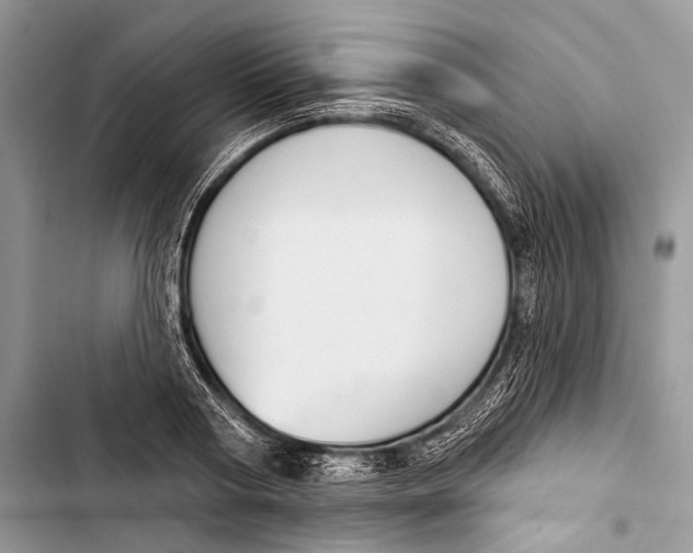 X0000103440794200810031412