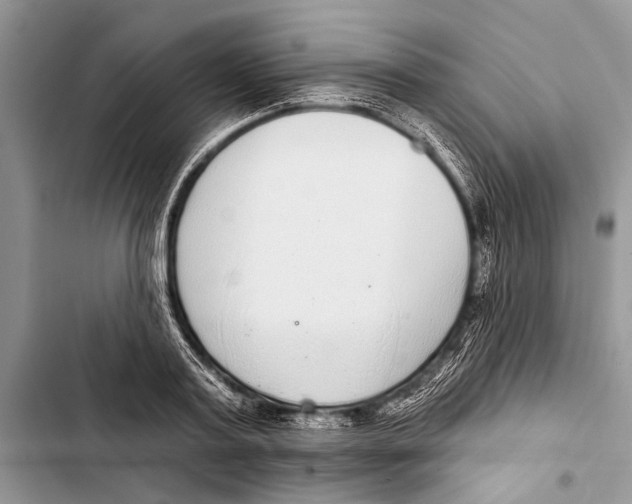 X0000103440795200810031412