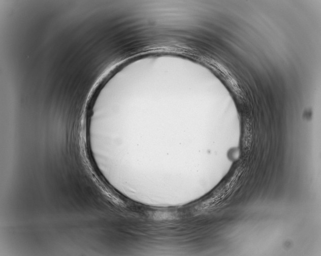 X0000103440796200810031412