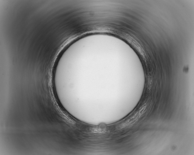X0000103440797200810031412