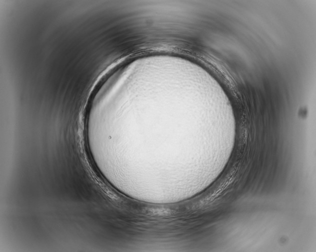 X0000103440798200810031412